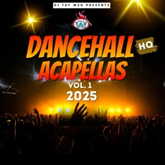 DJ TAY WSG - DANCEHALL ACAPELLA VOL.1 2025 (AUDIO PREVIEW)