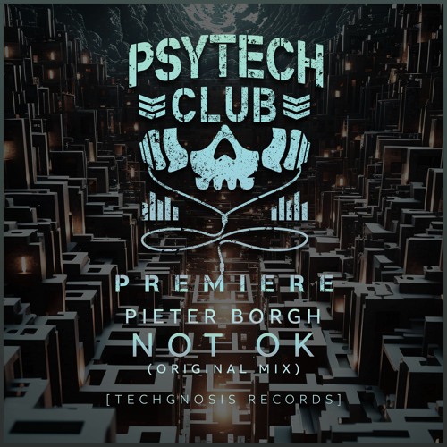 PREMIERE: Pieter Borgh - Not Ok (Original Mix) [Techgnosis Records]
