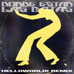 Donde Estan Las Gatas (helloworld! remix)
