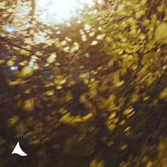 Apałaje liście (Ambient Reprise)