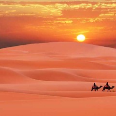 Me quiero ir a vivir al Desierto