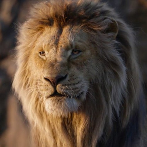 אקו- שמש חמה ECHO- Hot Sun