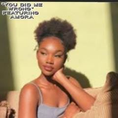 YOU DID ME WRONG FEATURING AMARA