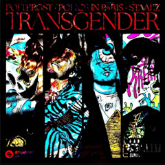 Go Transgender