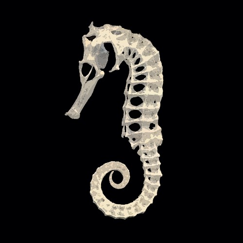 ...and for such a long time - SUtSJwICfYOPH (7 selected tracks from a 13 track album + 1 new track)