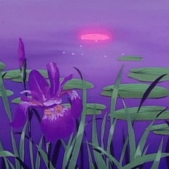 the beauty of it