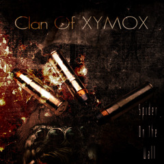 Spider On the Wall (Curse Mackey Remix)