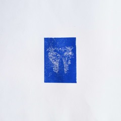 There's A Golden Thread