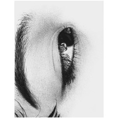 Forgive Everything Vol. 33