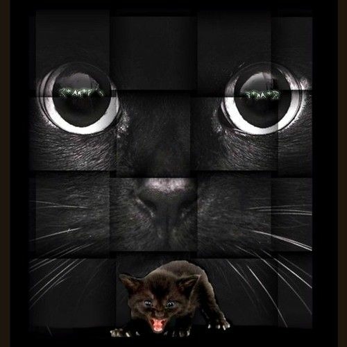 DnB With A European Lick