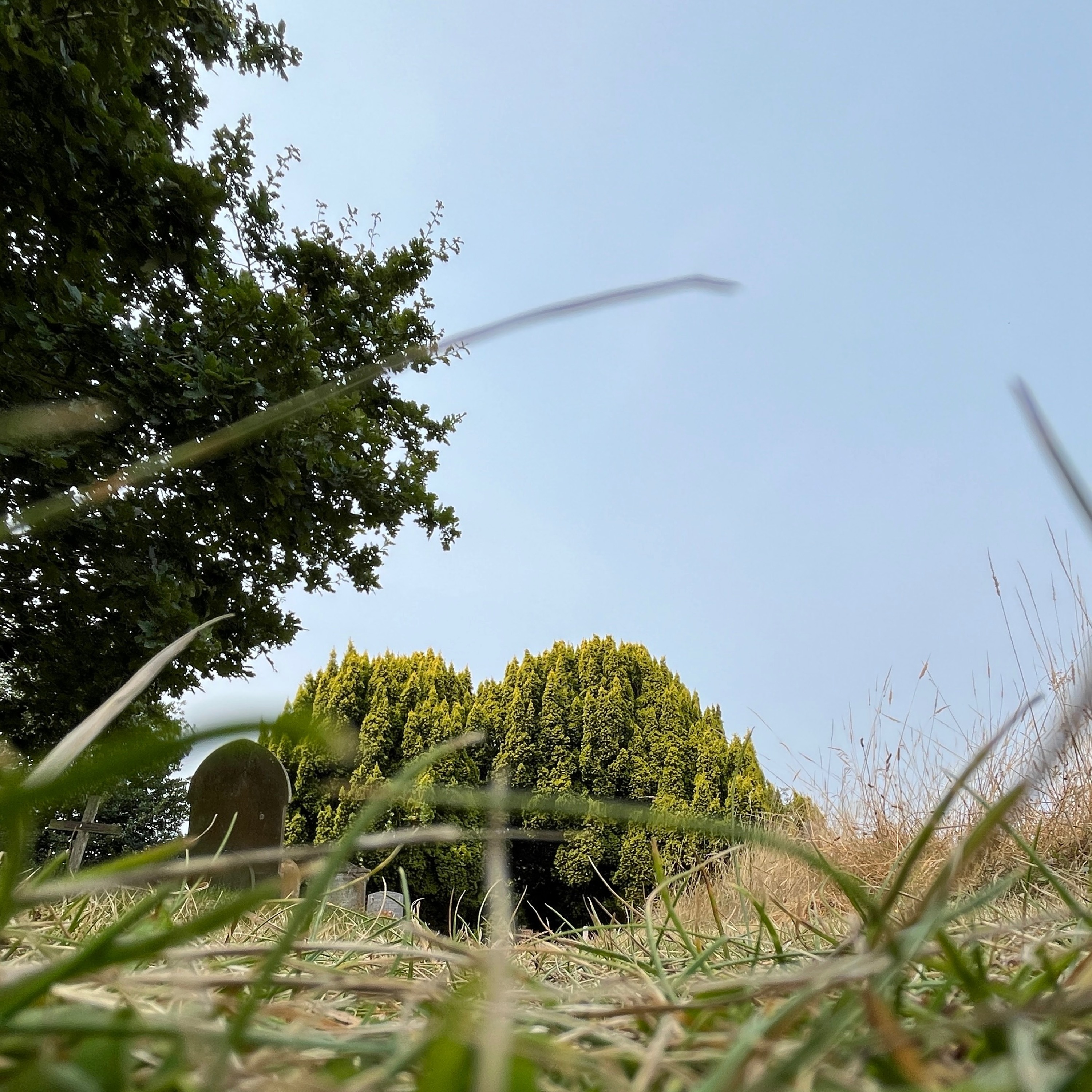 Church Grasshoppers, 19th August 2024 episode artwork