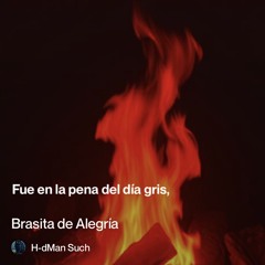 brasita-de-alegría 2