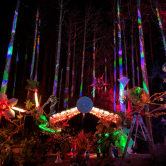 💫🪸Wonky Forest 2025🪸💫