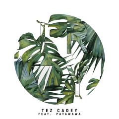 Ivory (feat. Patawawa)