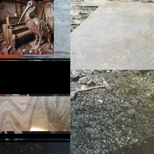 electronic pelican mummy [w/ {The Riff of the Geologic Record}]