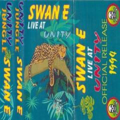Swan-E & Top Buzz - Unity at Hastings Pier - Summer 1994