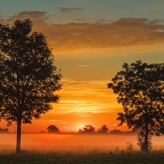 Morning Glow
