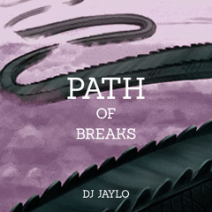 DJ Jaylo - Path of Breaks