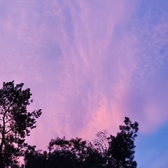 Ambient #195