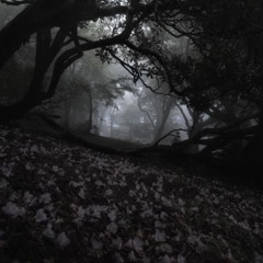 bleh! (noise pollution)