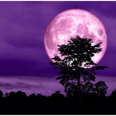 Full Moon Boogie