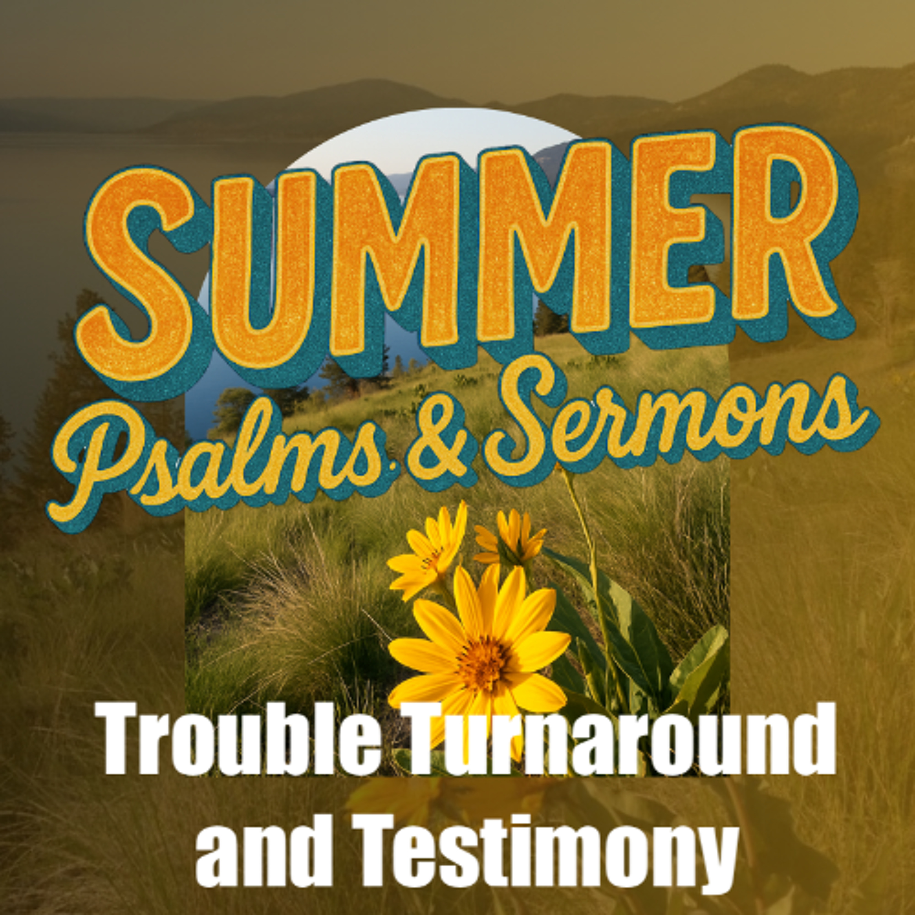 July 6/25 | Trouble Turnaround and Testimony | Psalm 107 | Glen Kyle | episode artwork