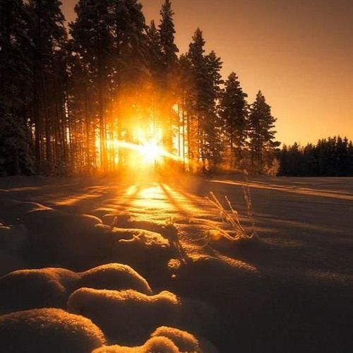 ‎⁨سورة يس || شريف مصطفى❤️