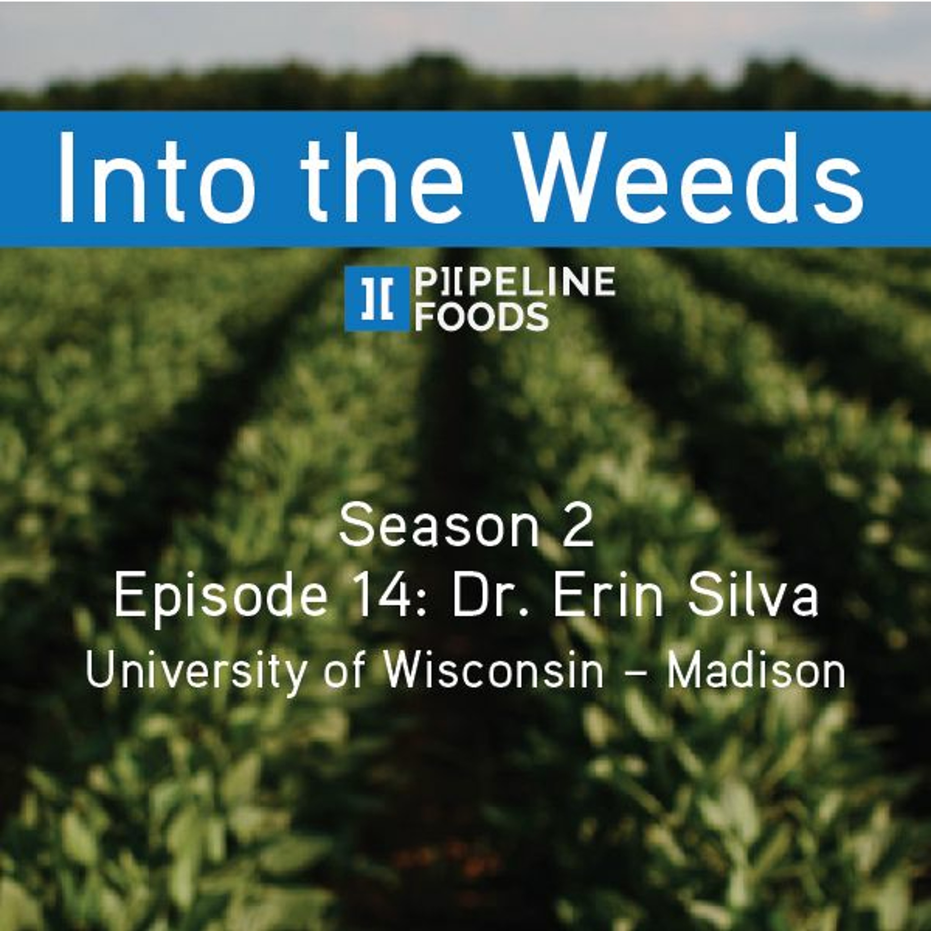 Season 2, Episode 14: Dr. Erin Silva episode artwork