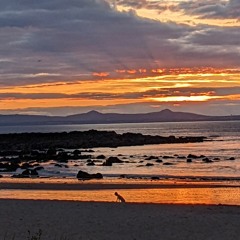 2022 FieldRecording Scotland Seashore Chilrden Playing Music Beach Activities Birds Fishingboat