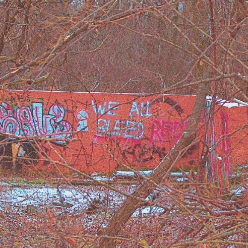bl33d