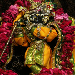 Goloknath Das · Radha Ramanam Hare Hare · 2.20.26