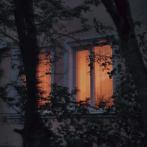 y o u  l e t  m e  d o w n