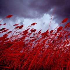 never know. (My first step team beat)