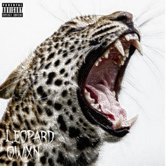 Owxn- Leopard (prod.Cxdy)