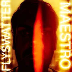 Flyswatter Maestro - Sure Excuse