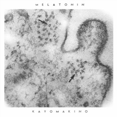 melatonin/mixed by kayo makino