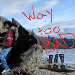 Way Too Bad! prod. leftfield(demo)