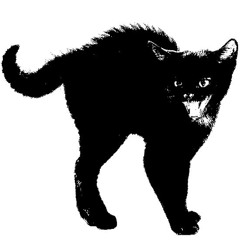 merlii x blade - Trill