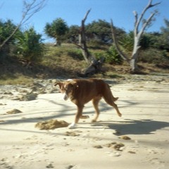 The Day That You Left