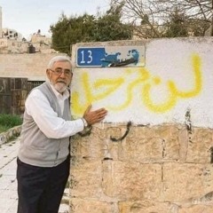سنرجع يومًا إلى حينا
