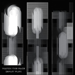 VCTRE - Watch The Face (SPLiT Flip)