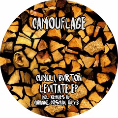 PREMIERE: Cumuli, Bvrton - Levitate (Cosmjn Remix) [Camouflage]