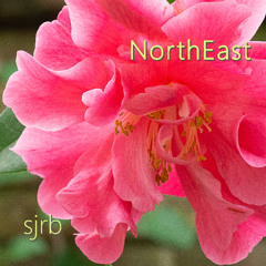NorthEast