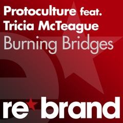 Burning Bridges (Original Mix) [feat. Tricia McTeague]