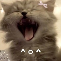 ill show u what love is !
