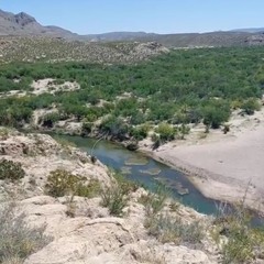 Tequila Shots (DJ mix)