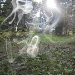 acid in the forest (remix)