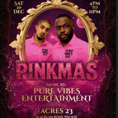 Pure Vibes Ent - Live At Pinkmas 20.12.2025