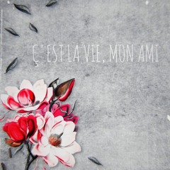 Bizzi One & Stylerwack - C'est La Vie Mon Ami