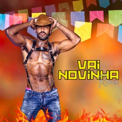 VAI NOVINHA ( vitor guedes remix )